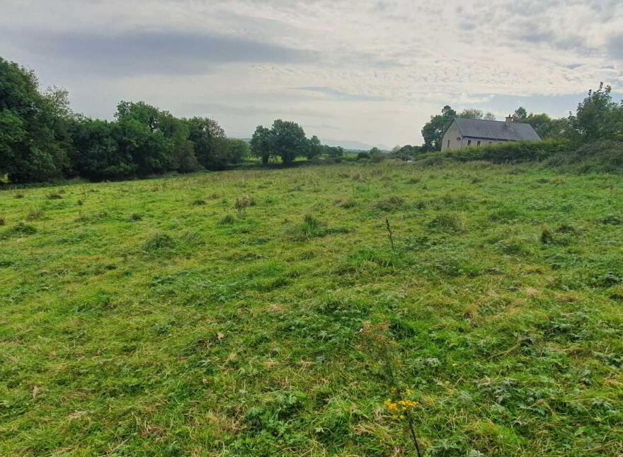 Killeagh, Caherconlish