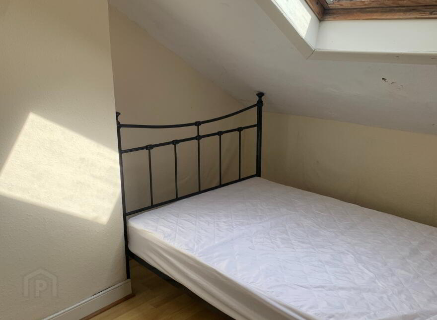 Unit 2, 44 Wolseley Street, Belfast, BT7 1LG
