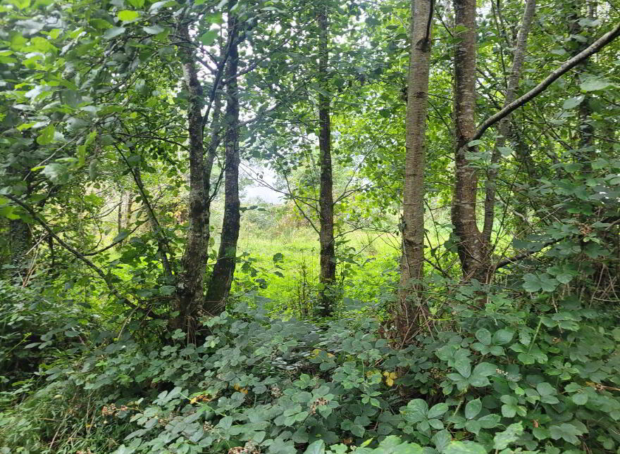 Unshinagh, Kinlough