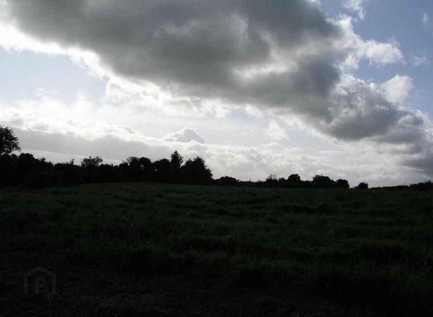 Oldtown, Abbeyleix, Laois