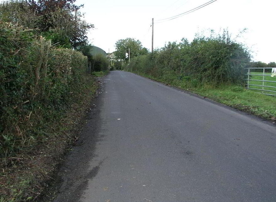 Oldtown, Abbeyleix, Laois