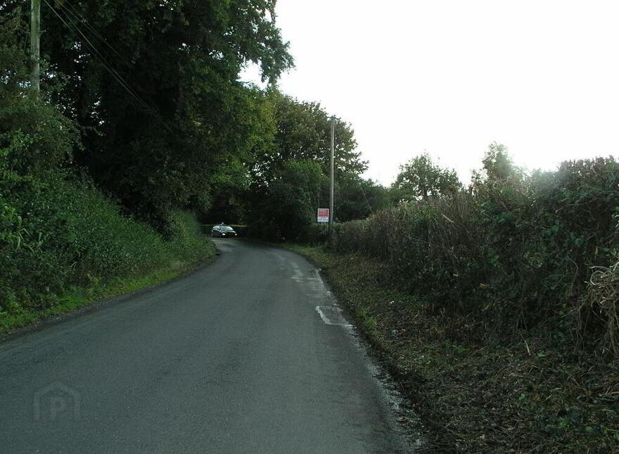 Oldtown, Abbeyleix, Laois