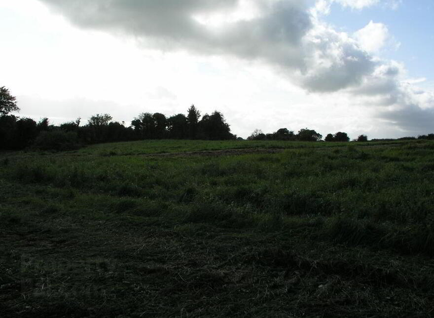 Oldtown, Abbeyleix, Laois photo