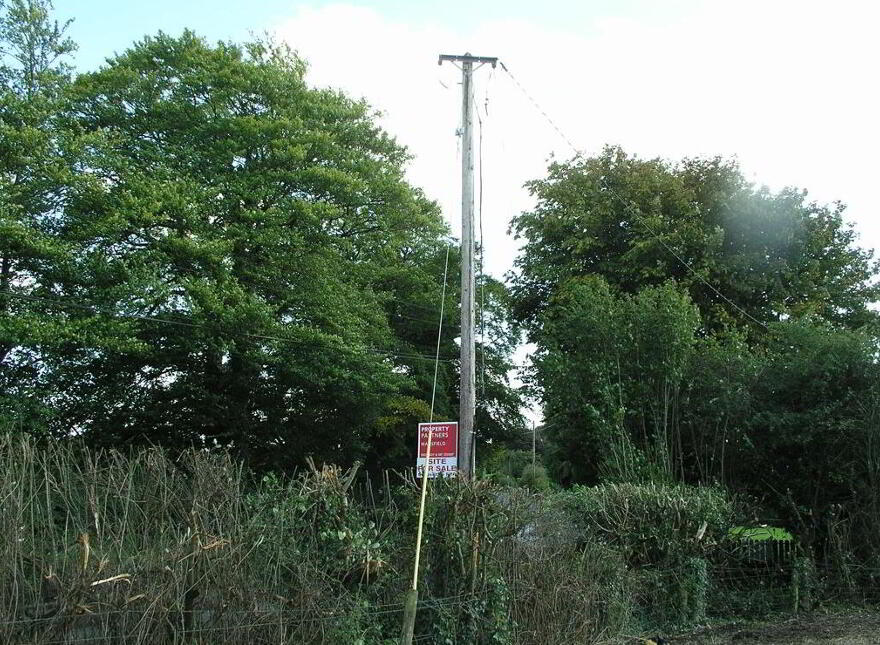Oldtown, Abbeyleix, Laois