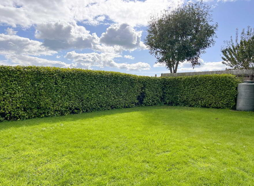Cashel Road, Killenaule, Killenaule, E41V585