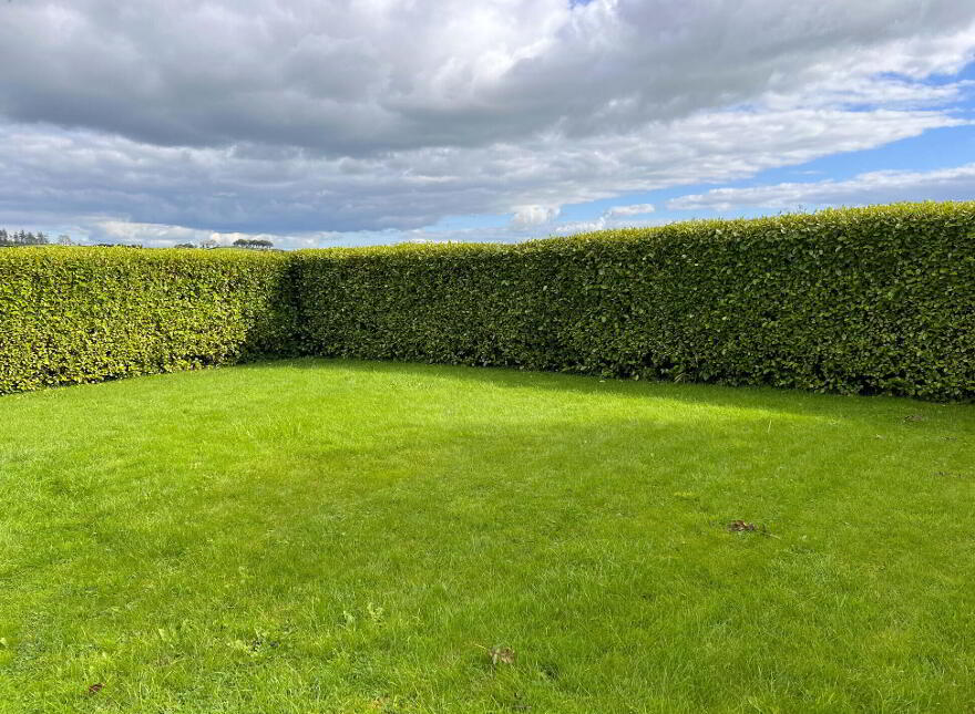 Cashel Road, Killenaule, Killenaule, E41V585