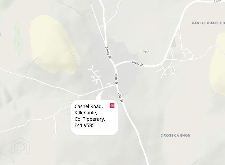 Cashel Road, Killenaule, Killenaule, E41V585