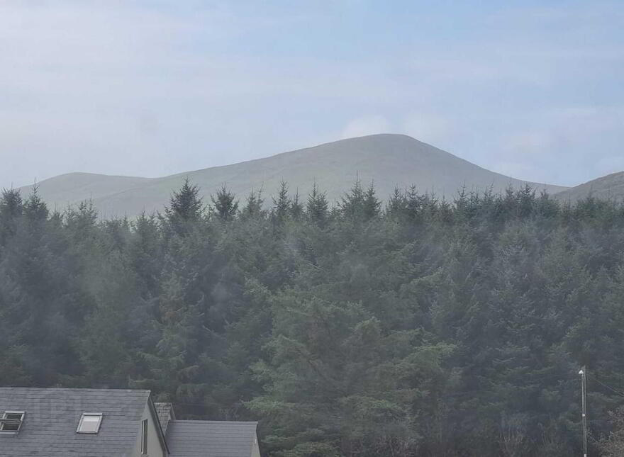 Glin, South, Dingle