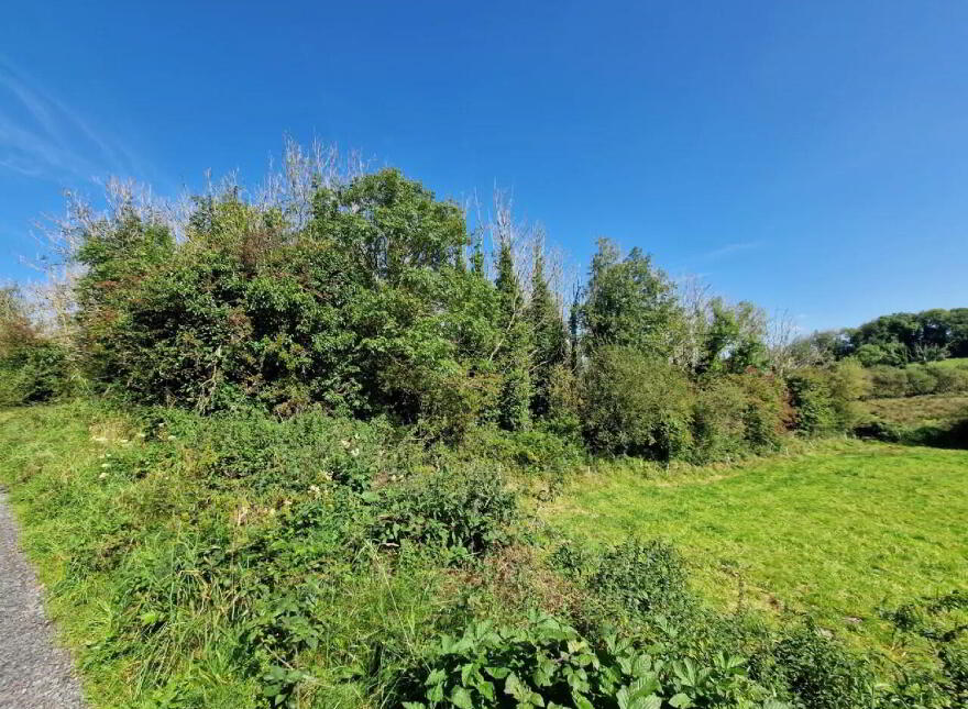 Logcurragh, Swinford