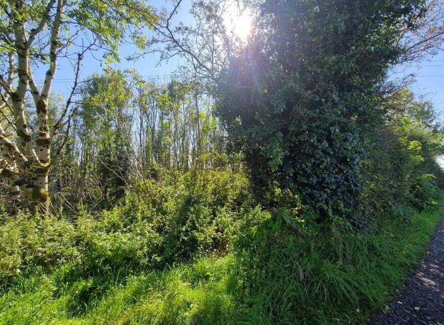 Logcurragh, Swinford