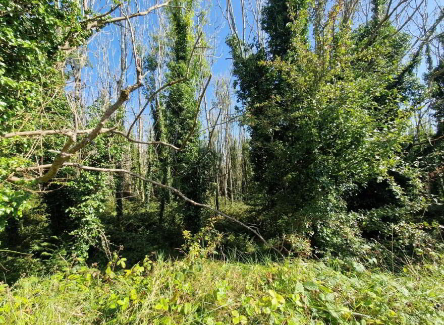 Logcurragh, Swinford