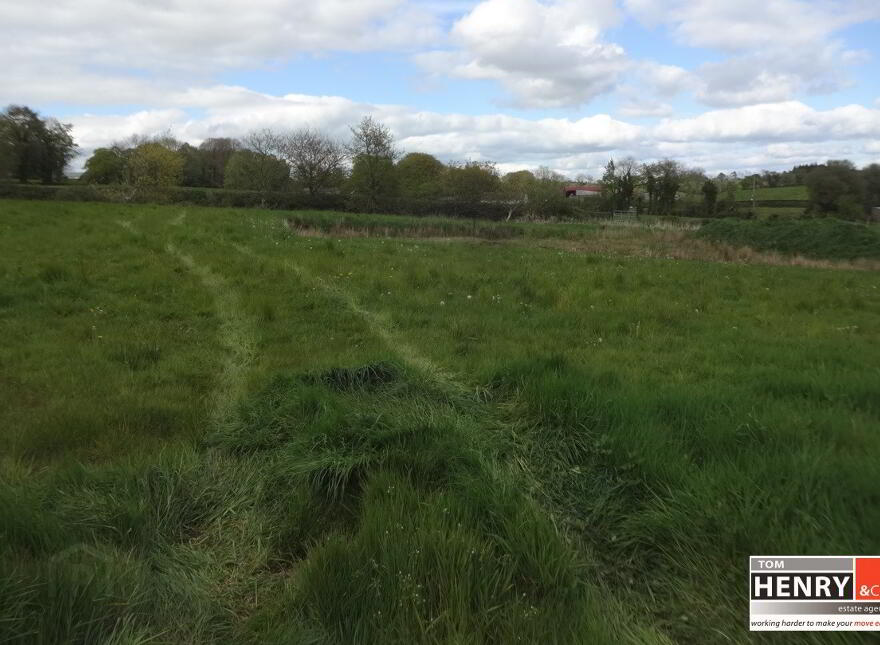 Castletown Road, Aughnacloy, Dungannon, BT69 6ED