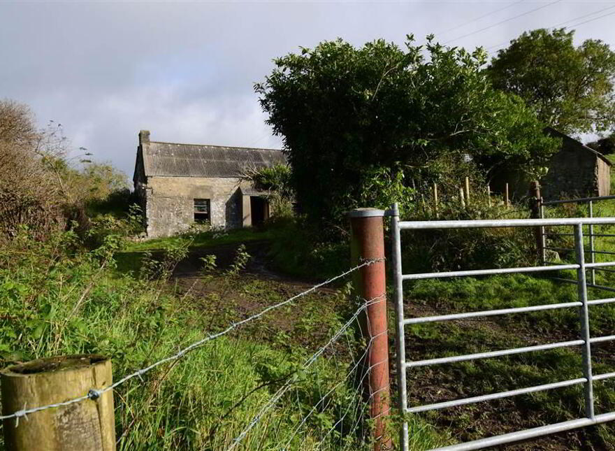 C. 20.5 Bungalow With Acres, 71 Saintfield Road, Ballynahinch, BT24 8UZ