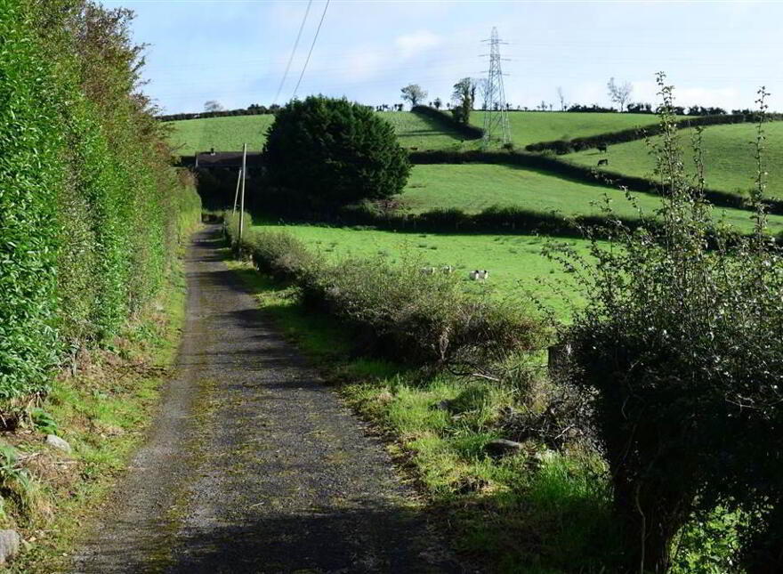 C. 20.5 Bungalow With Acres, 71 Saintfield Road, Ballynahinch, BT24 8UZ