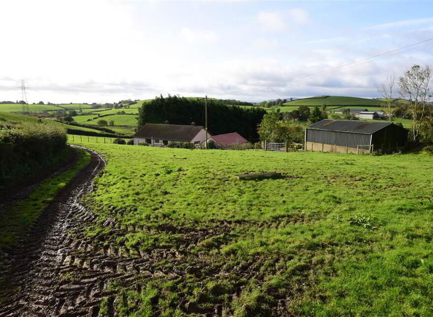 C. 20.5 Bungalow With Acres, 71 Saintfield Road, Ballynahinch, BT24 8UZ