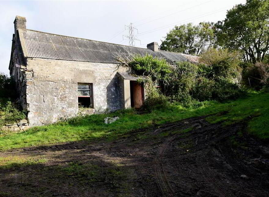 C. 20.5 Bungalow With Acres, 71 Saintfield Road, Ballynahinch, BT24 8UZ