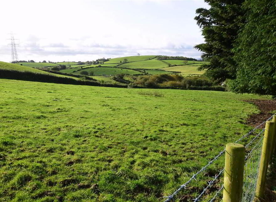 C. 20.5 Bungalow With Acres, 71 Saintfield Road, Ballynahinch, BT24 8UZ