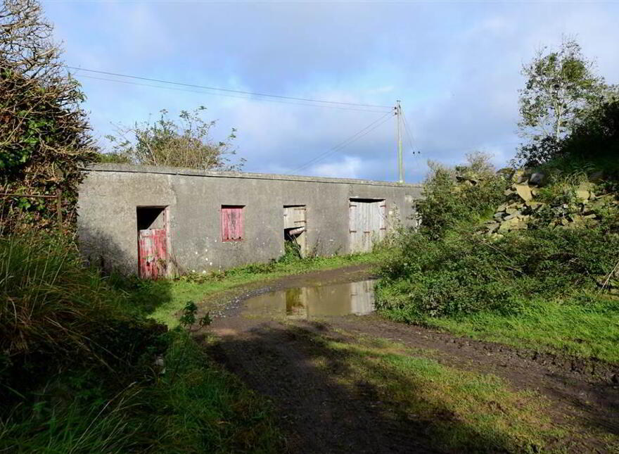 C. 20.5 Bungalow With Acres, 71 Saintfield Road, Ballynahinch, BT24 8UZ
