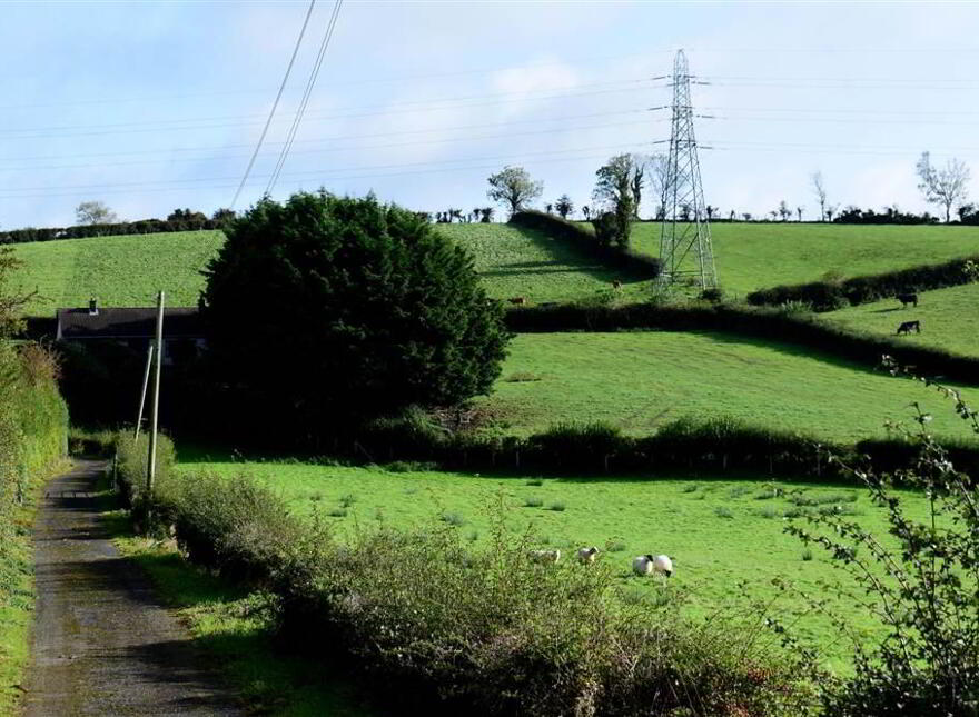 C. 20.5 Bungalow With Acres, 71 Saintfield Road, Ballynahinch, BT24 8UZ