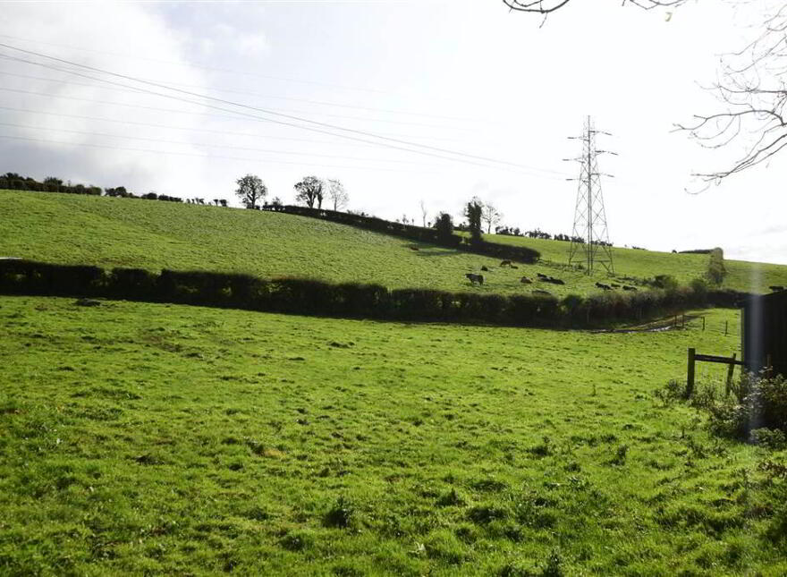 C. 20.5 Bungalow With Acres, 71 Saintfield Road, Ballynahinch, BT24 8UZ