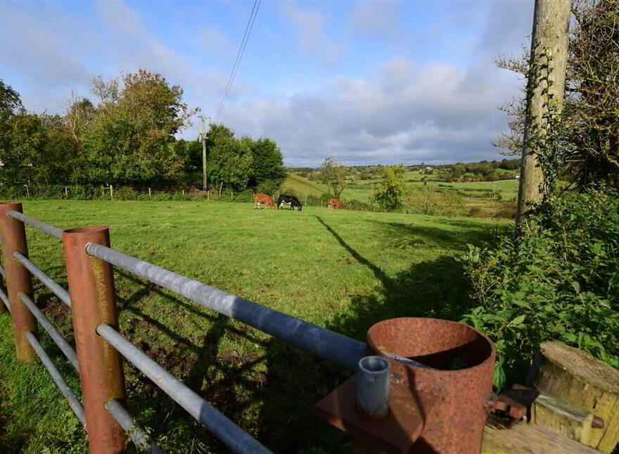 C. 20.5 Bungalow With Acres, 71 Saintfield Road, Ballynahinch, BT24 8UZ