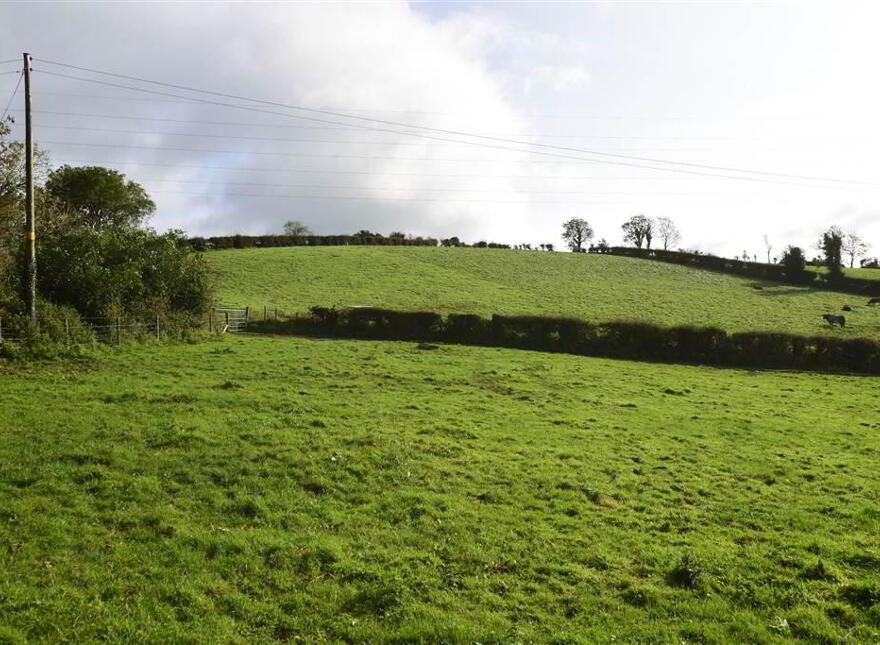 C. 20.5 Bungalow With Acres, 71 Saintfield Road, Ballynahinch, BT24 8UZ
