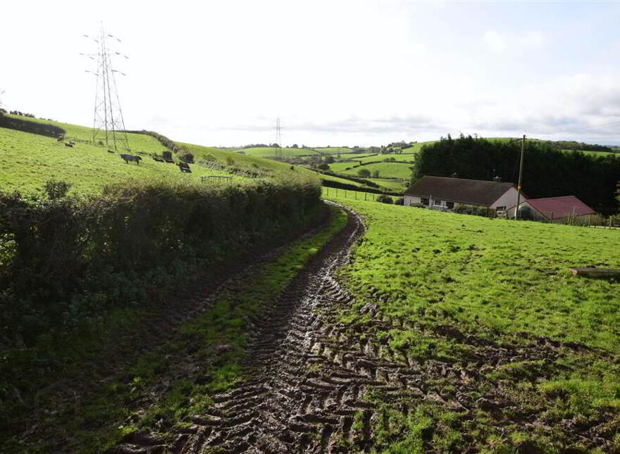 C. 20.5 Bungalow With Acres, 71 Saintfield Road, Ballynahinch, BT24 8UZ