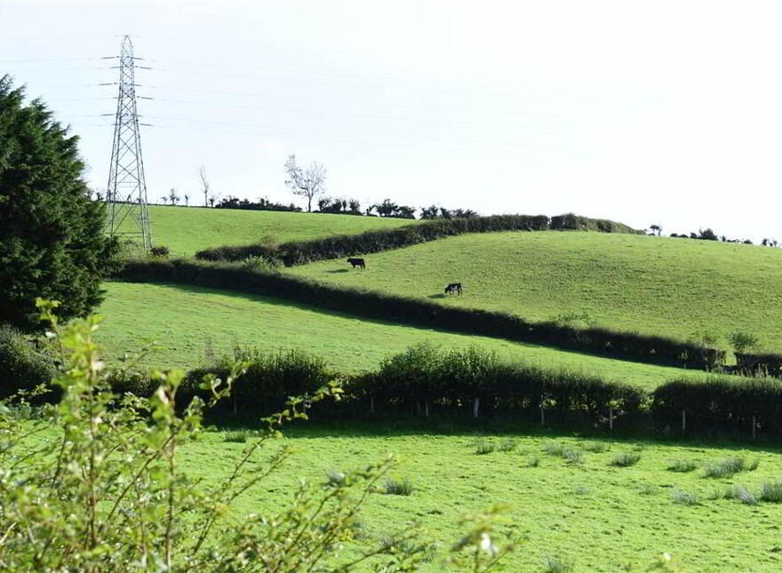 C. 20.5 Bungalow With Acres, 71 Saintfield Road, Ballynahinch, BT24 8UZ