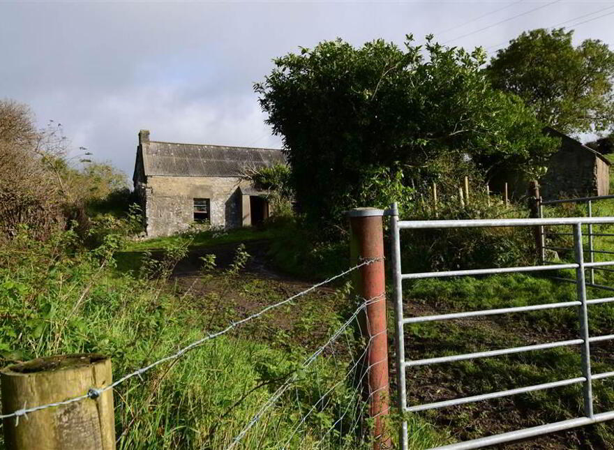 C. 20.5 Bungalow With Acres, 71 Saintfield Road, Ballynahinch, BT24 8UZ