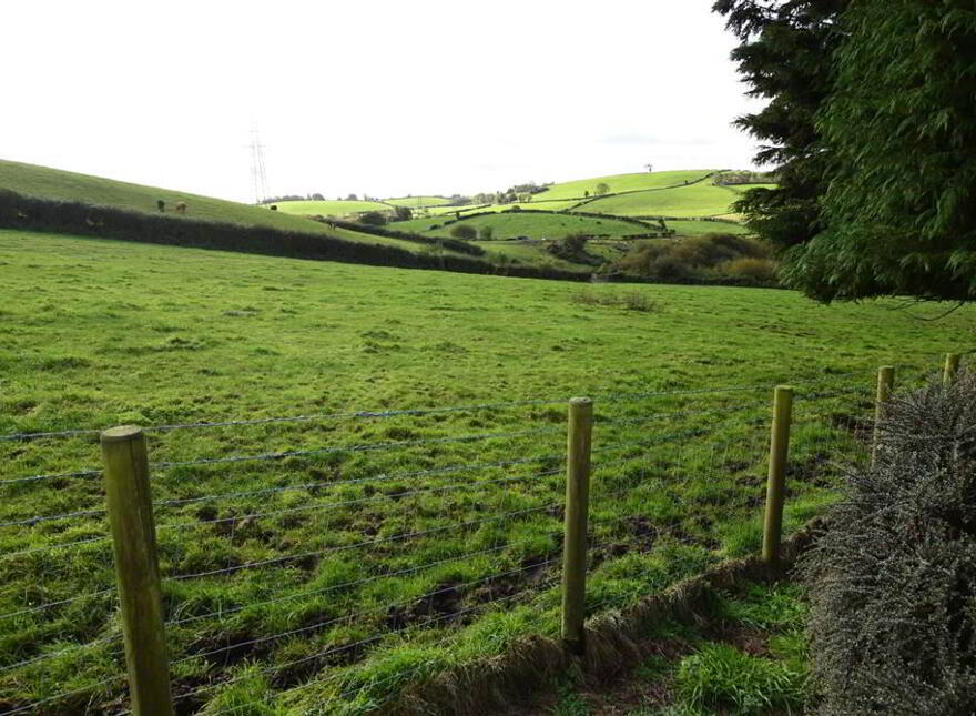 C. 20.5 Bungalow With Acres, 71 Saintfield Road, Ballynahinch, BT24 8UZ