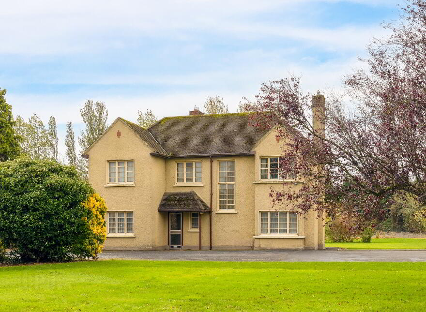 Detached houses For Sale in Bagenalstown PropertyPal