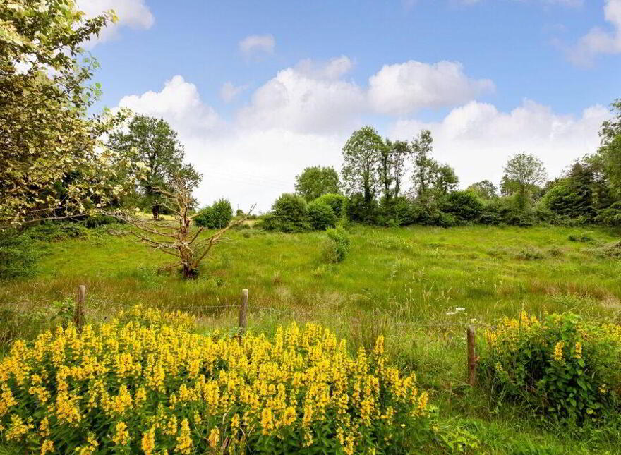 Lisnabrack, Manorhamilton, F91PH36