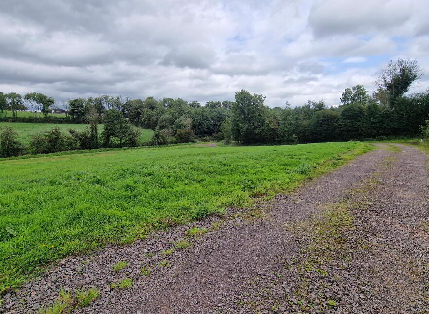 Goland Road, Ballygawley, BT70 2LB