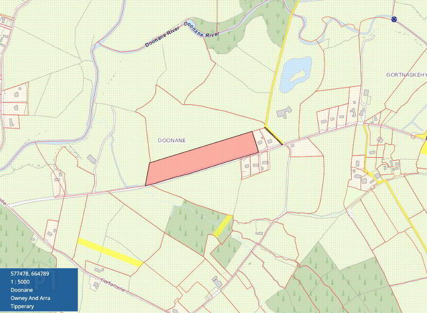 Doonane, Newport