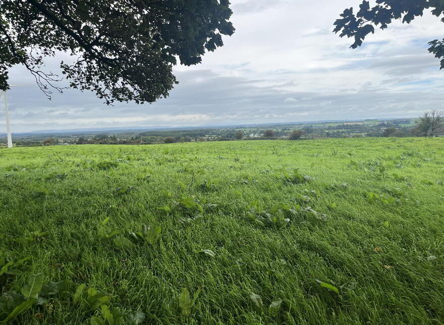 Circa, 0.75 Acre Site At Mace Upper, Claremorris