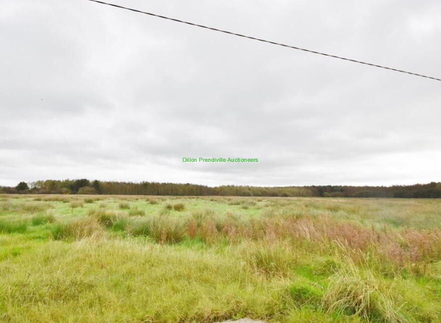43.7 Acres, Ballybunion Road, SHRONE 43.7 Acres Ballybunion Road, West, Listowel