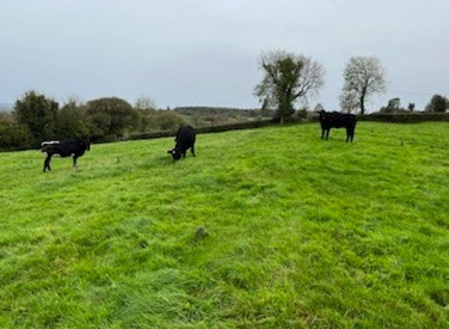 Claragh Road, Inishway & Blaney West, Derrygonnelly, BT93 7AZ