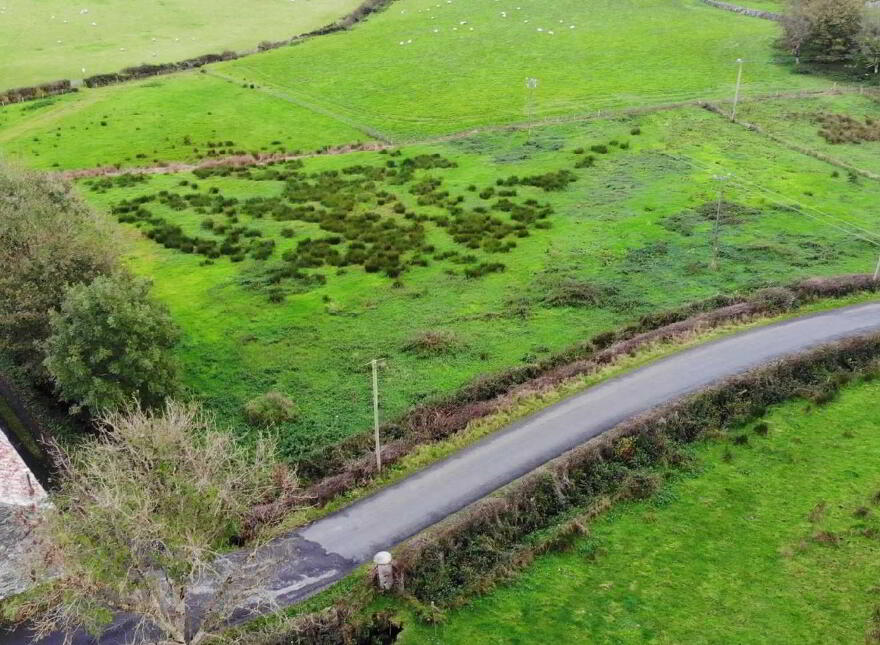 Lecamy, Moville