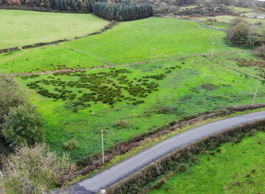 Lecamy, Moville