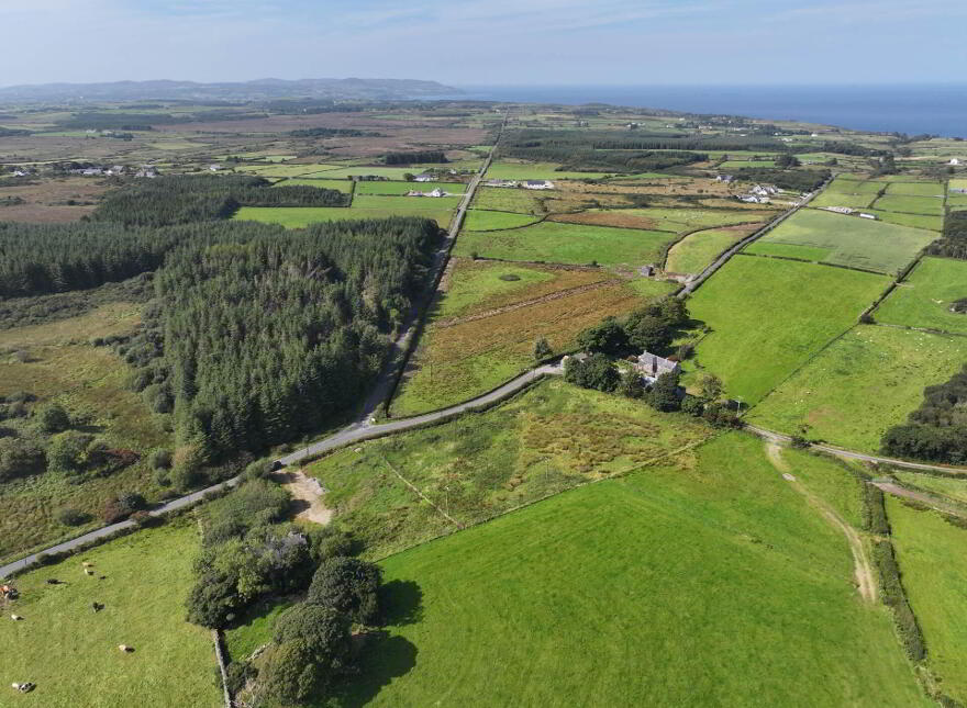 Lecamy, Moville