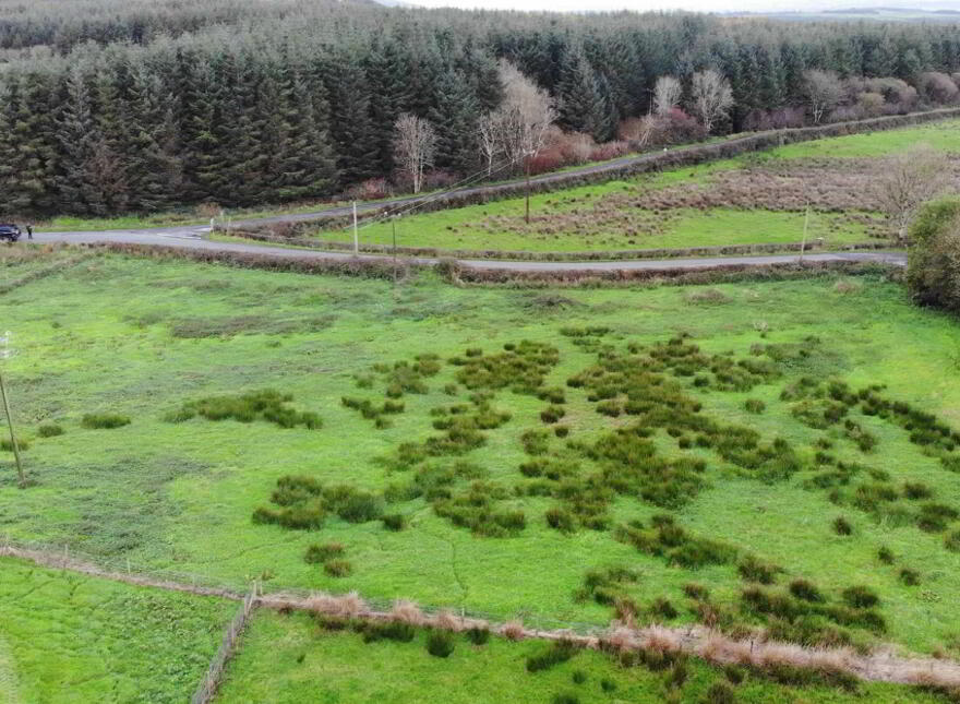 Lecamy, Moville