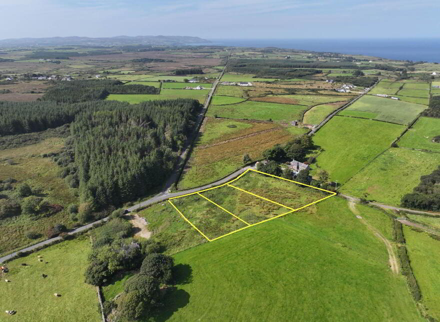 Lecamy, Moville