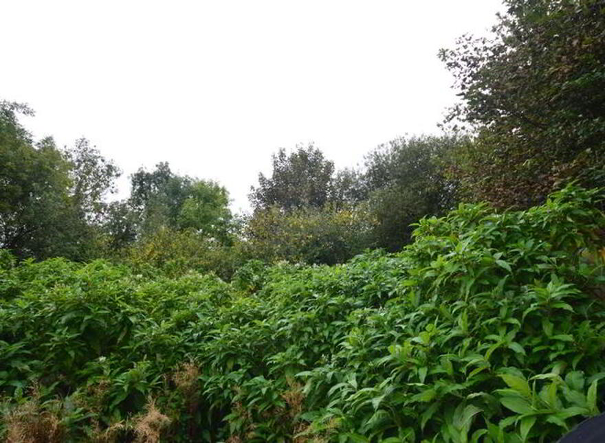 Carnadore House, & Commercial Yard, Carnadore, Castlefin, F93X72C