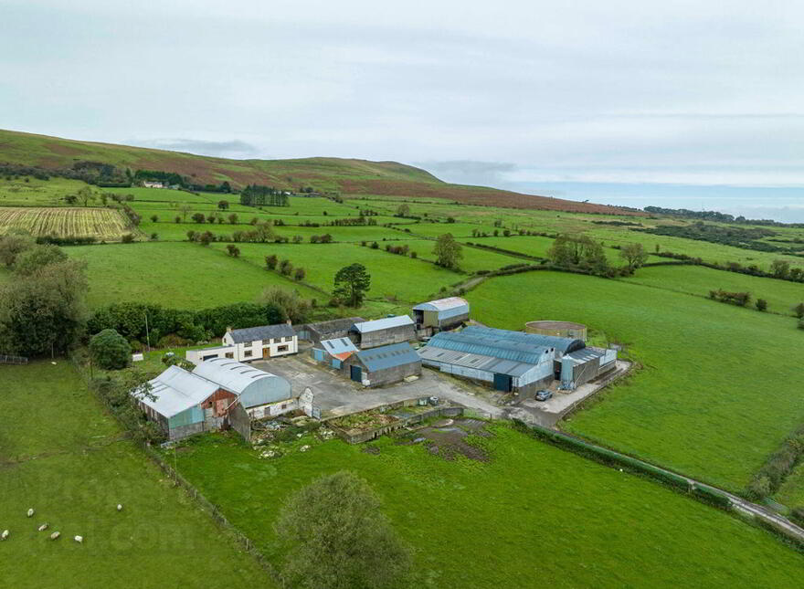 Agricultural Property For Sale in Northern Ireland PropertyPal