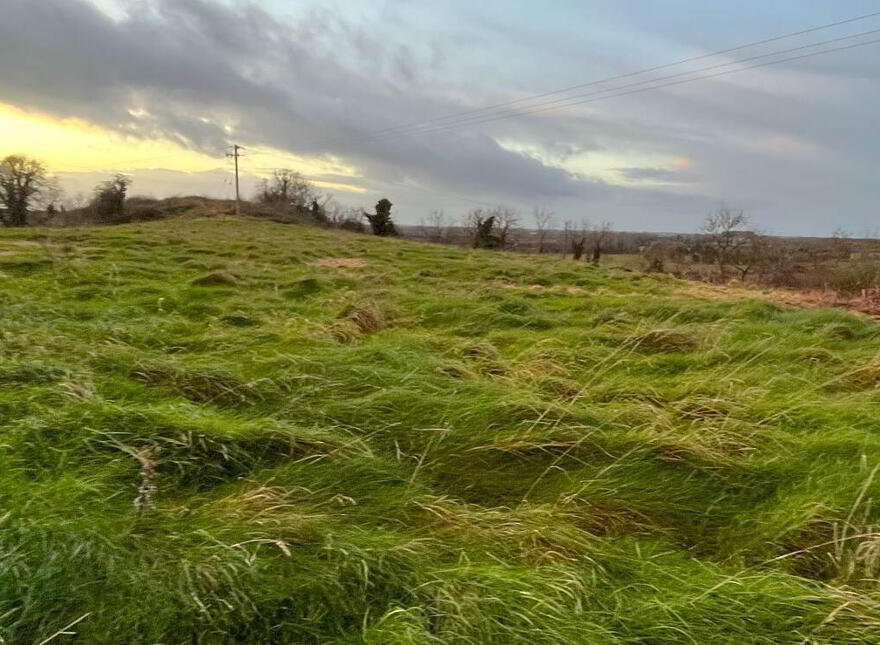 Arden Road, Tullamore, Offaly