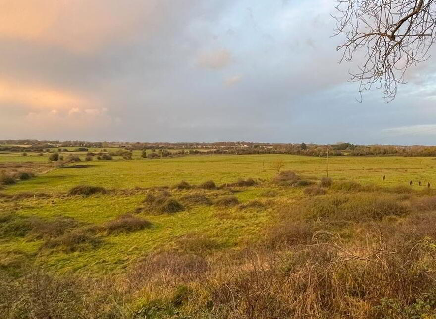 Arden Road, Tullamore, Offaly