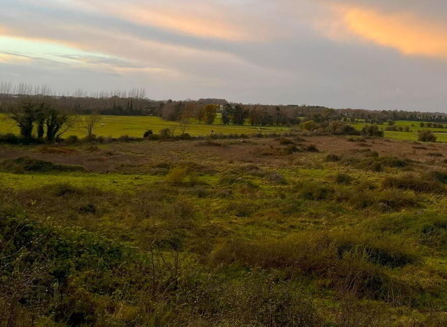 Arden Road, Tullamore, Offaly
