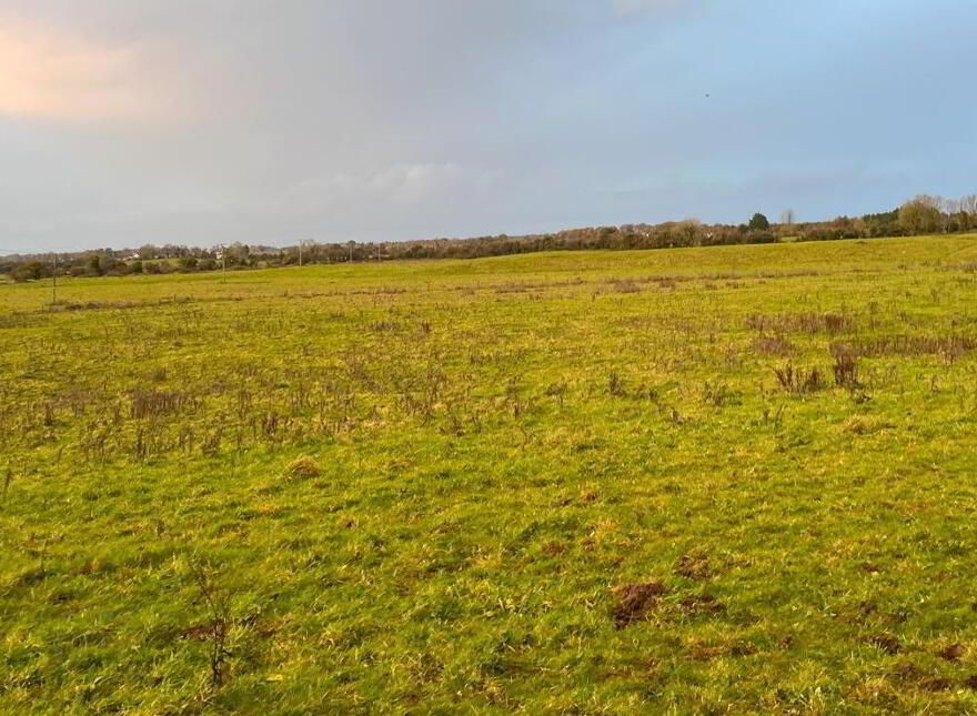 Arden Road, Tullamore, Offaly