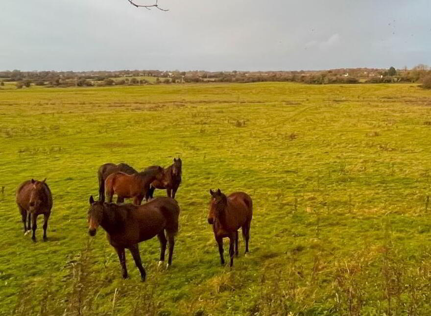 Arden Road, Tullamore, Offaly