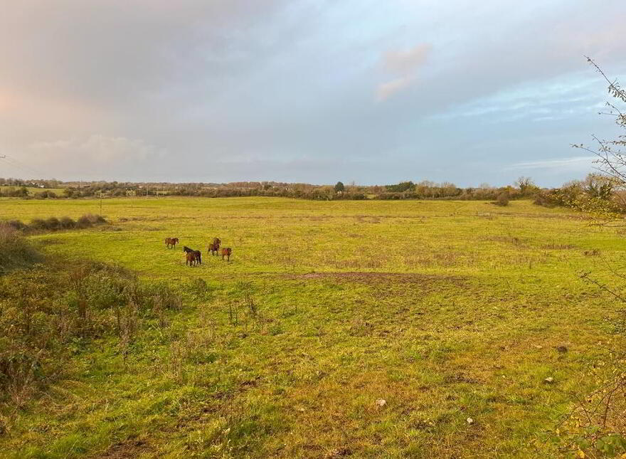 Arden Road, Tullamore, Offaly